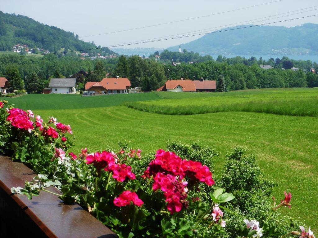 Ferienwohnung Seiringer Attersee Zimmer foto